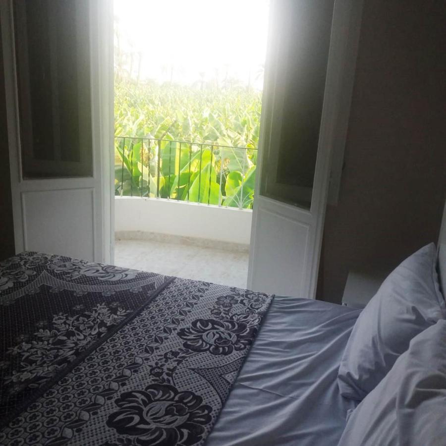 Adam Apartments Luxor Ngoại thất bức ảnh